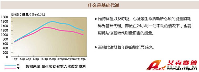 了解基礎代謝 了解基礎代謝
